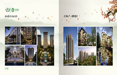 金地集團(tuán)&nbsp;龍湖地產(chǎn)